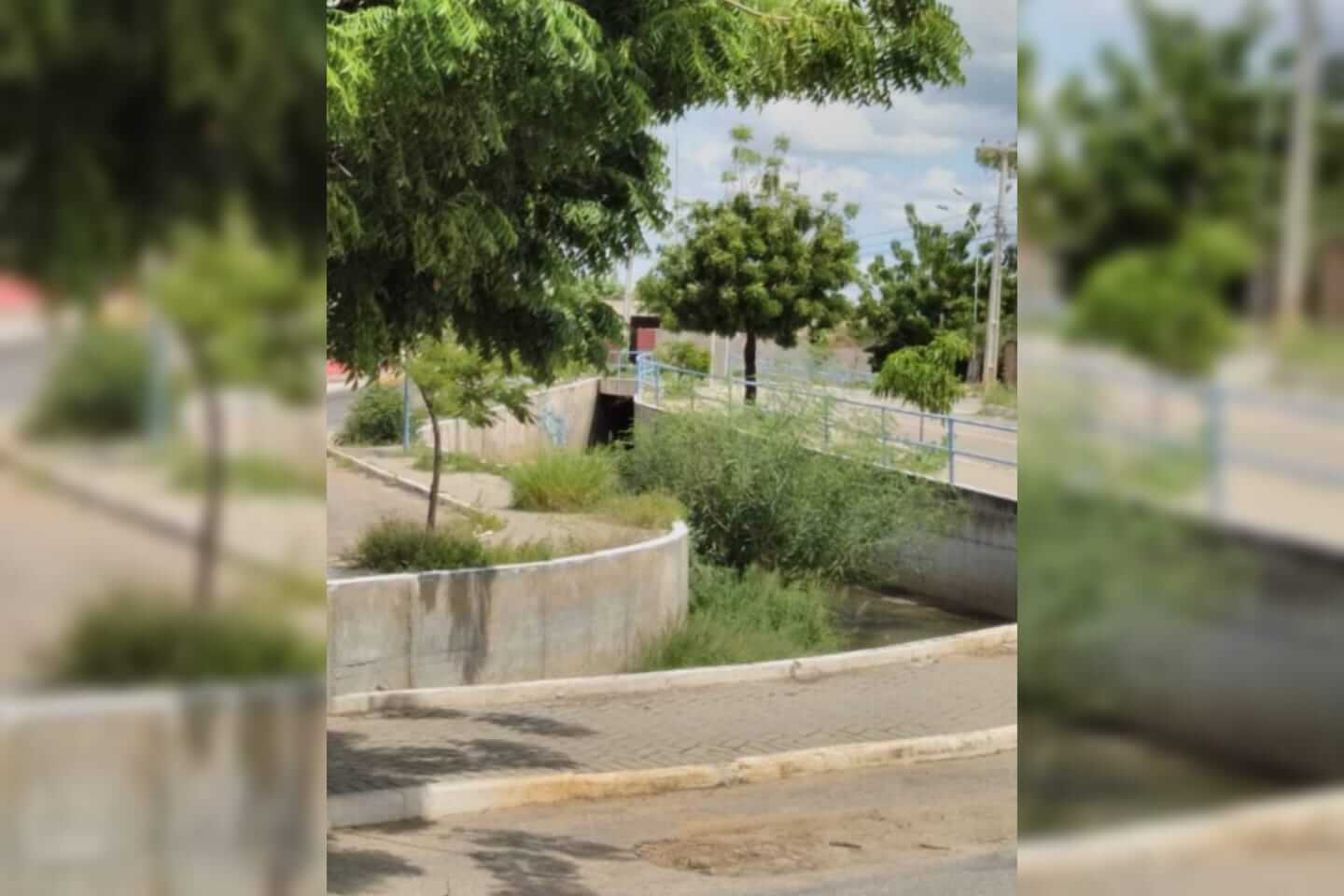 Internauta denuncia matagal dentro do Canal do Frango, em Patos, e pede providências por parte da Prefeitura