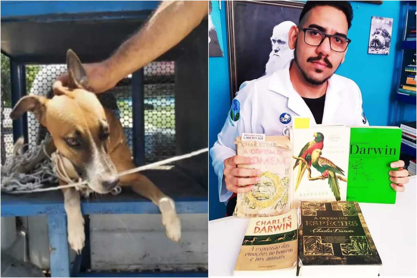 Após denúncia de biólogo, Ministério Público dá 15 dias para prefeitura explicar castrações no município; Secretário de saúde comenta. Ouça