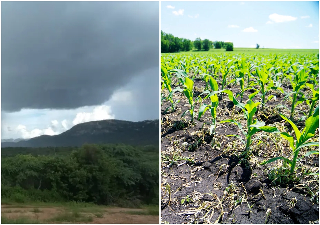 Chuvas foram esparsas de ontem para hoje, mas favorece o plantio e o desenvolvimento da cultura já existente