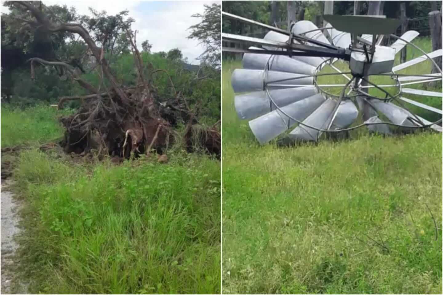 Chuva seguida de vendaval e granizo causa destruição na zona rural de Santa Terezinha (PB). Veja video.