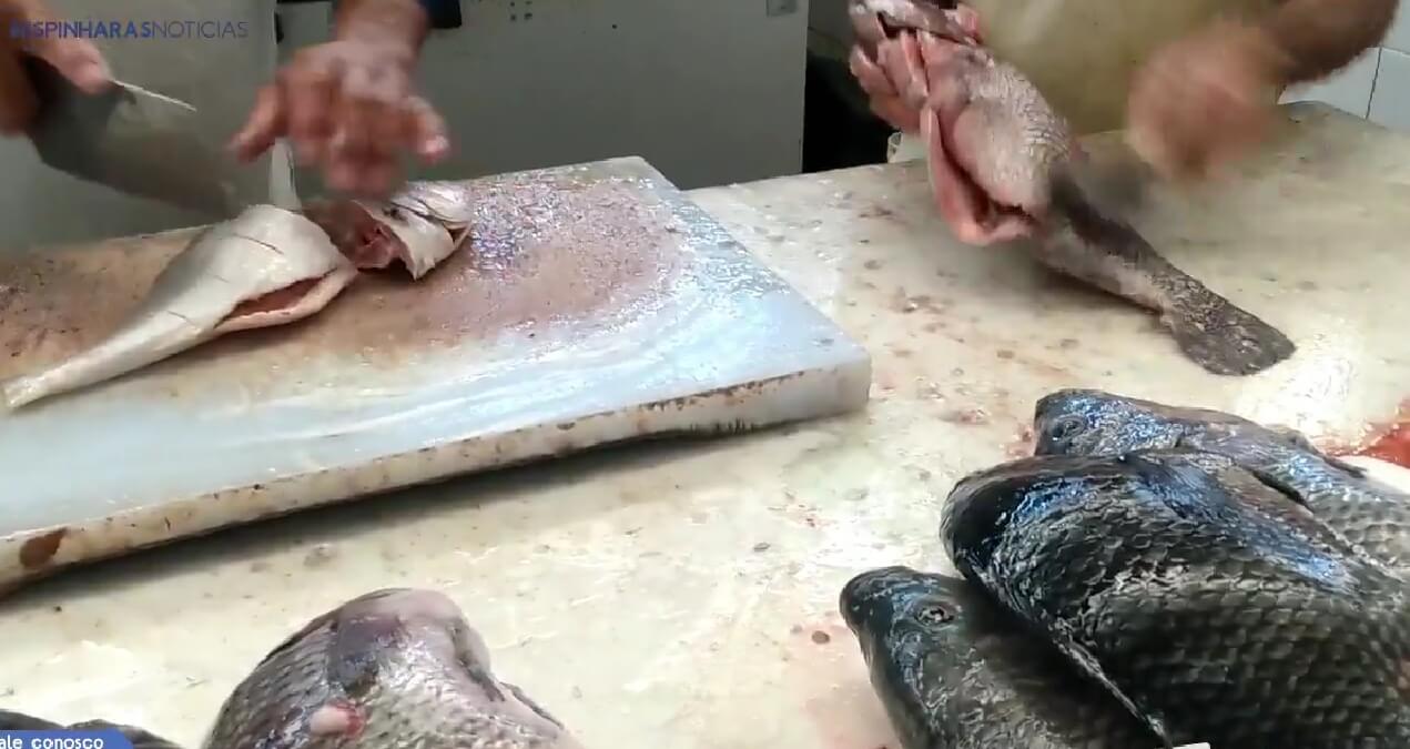 Em Patos: Comerciantes do Mercado da Carne explicam reajuste nos preços do pescado para esta Semana Santa. Ouça