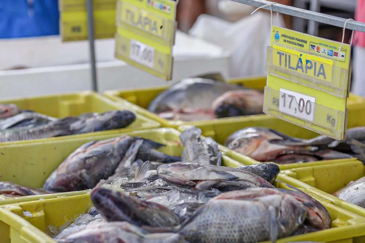 Vigilância Sanitária de Patos alerta para cuidados na hora de comprar pescados para Semana Santa