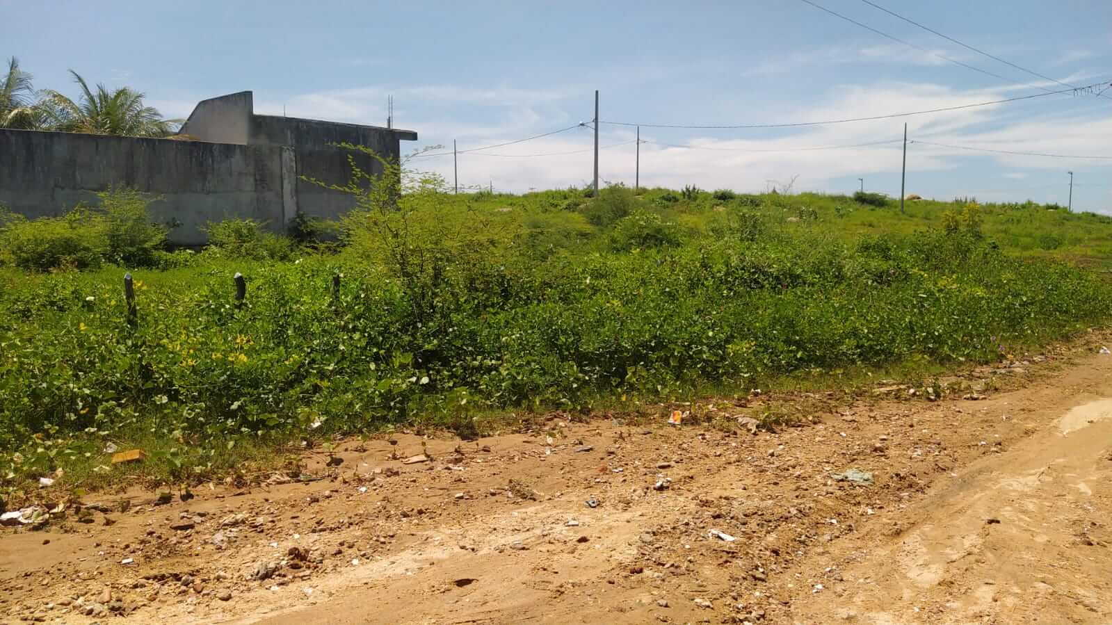 Internauta faz denúncia acerca de terreno particular que está acumulando água parada no bairro do Jatobá, em Patos. Vídeo