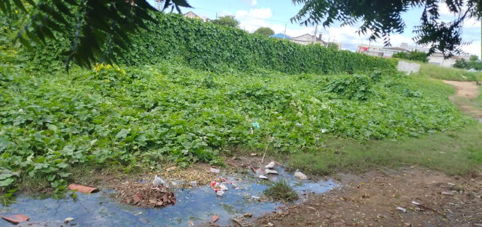 Internauta denuncia galeria estourada em rua de Patos e cobra providências da prefeitura: 