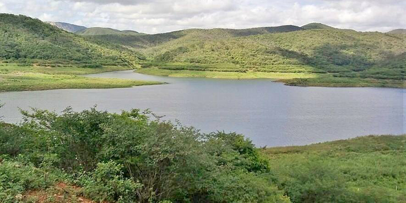 Um inverno com cara de seca verde: até o momento muito pasto e pouca água nos reservatórios. Veja os índices de ontem (21)