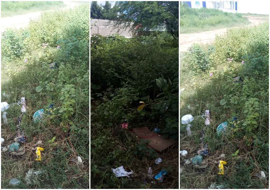 Em Patos: Moradora pede providência para lixo em terreno. Prefeitura e representante de empresa se pronunciam
