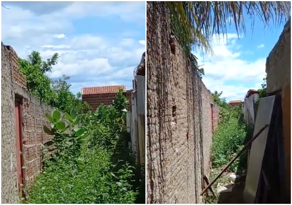 Família denuncia falta de manutenção em terreno no Monte Castelo e diz que todos estão com dengue; prefeitura responde