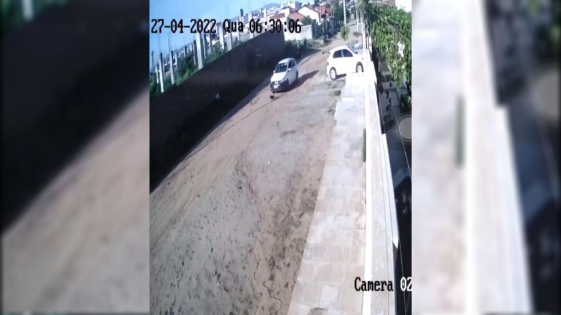 Cachorro é atropelado no Noé Trajano, em Patos, e motorista sai sem prestar socorro ao animal; Vídeo