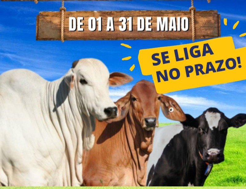 Prefeitura de Passagem divulga cronograma de vacinação contra a Febre Aftosa; vacinação começa na próxima segunda (09)