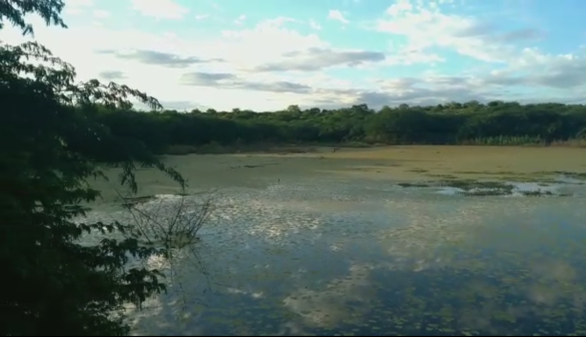 Inverno estranho: Vários municípios com muita chuva, lavouras perdidas e pouca recarga dos açudes