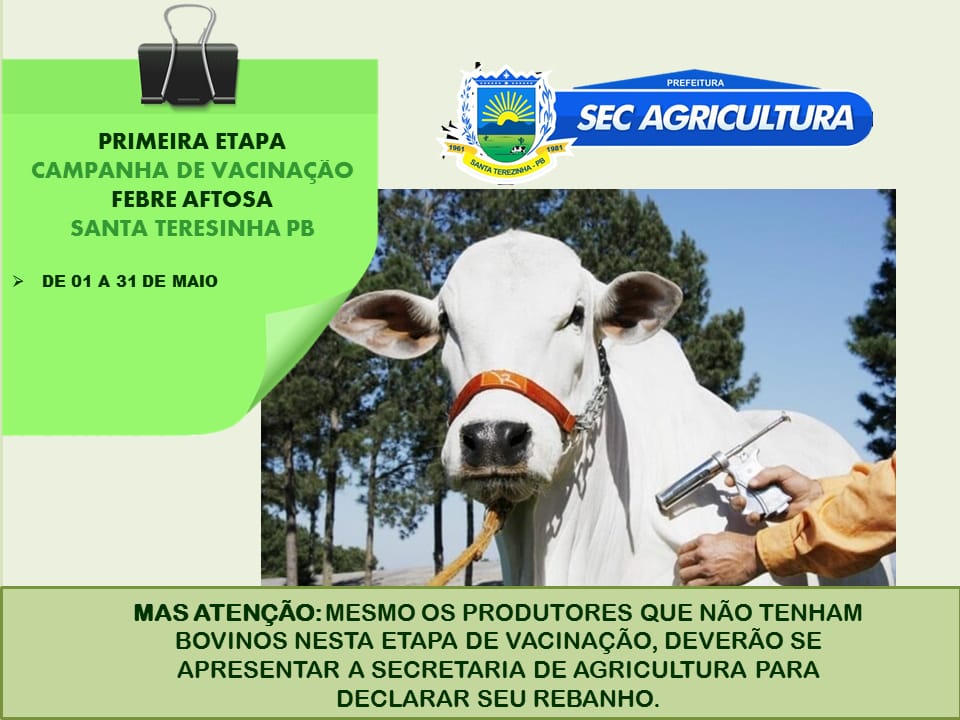 Prefeitura de Santa Terezinha divulga cronograma de vacinação contra a Febre Aftosa; vacinação vai até o próximo dia 31