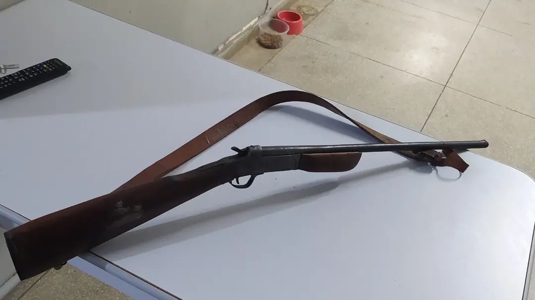 Idoso de 80 anos é preso com plantio de maconha na zona rural de Teixeira; arma de fogo também foi apreendida