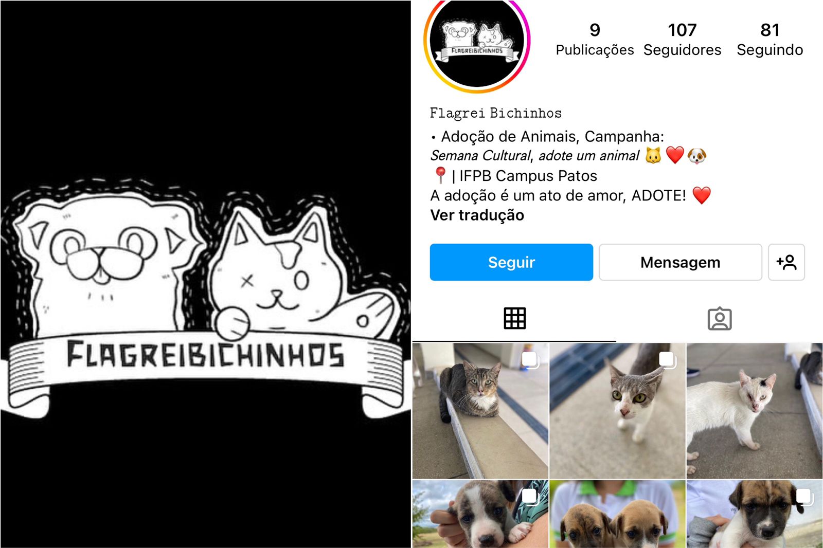 Alunos do 2º ano do curso de Edificações do IFPB Patos criam projeto para animais de rua que ficam no Campus