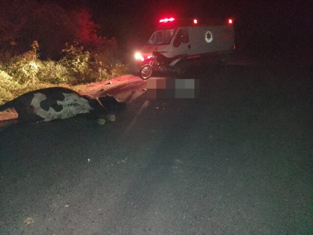 Acidente com vítima fatal é registrado entre Taperoá e Livramento, após motociclista colidir com animal na pista