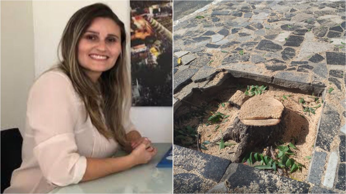 Secretária de Meio Ambiente de Patos se posiciona sobre retirada de árvores no Centro de Patos e diz que estudo técnico foi realizado. Ouça