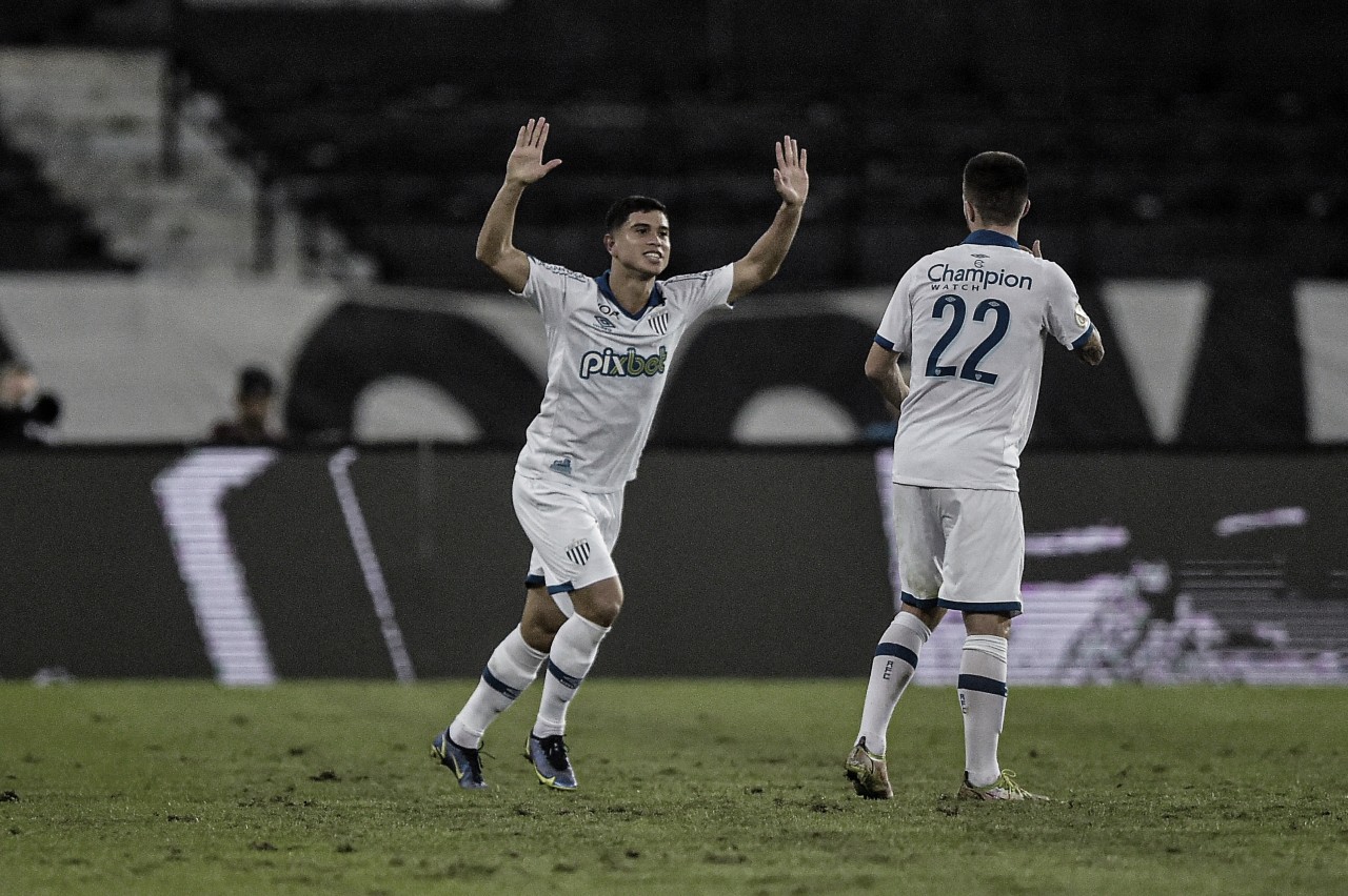 Botafogo perde para o Avaí e entra na zona de rebaixamento do Brasileirão
