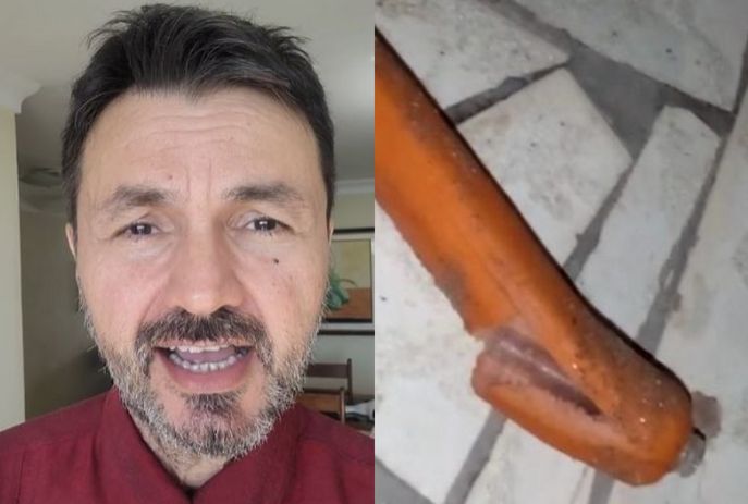 Advogado denuncia uso de salsichas com vidro para matar animais na cidade de Picuí-PB