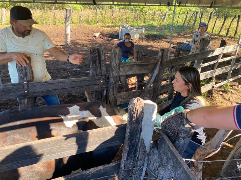 Programa Mais Pecuária Brasil é oficialmente aberto em Patos