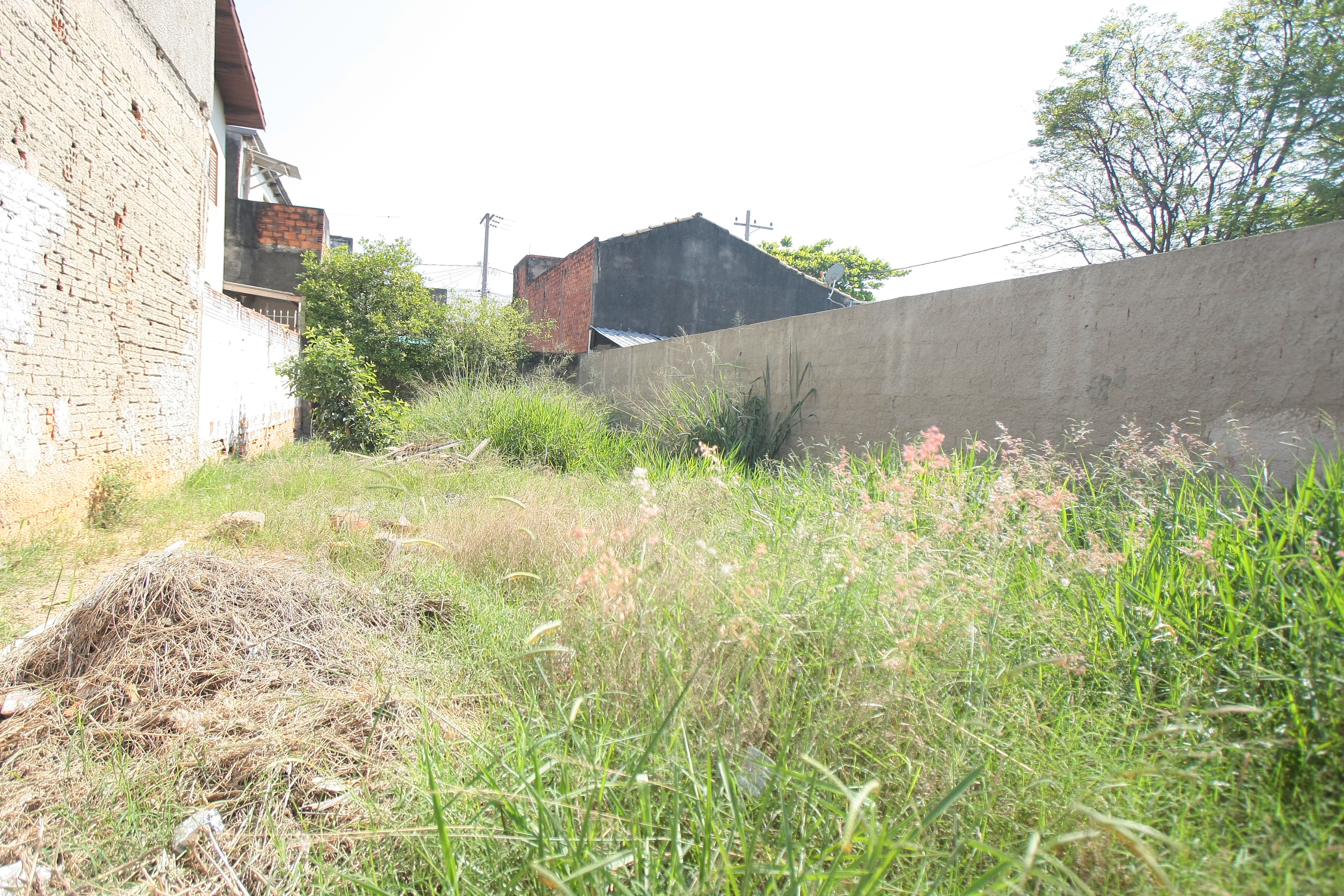 MP recomenda que Secretaria de Meio Ambiente de Patos notifique proprietários de terrenos e fiscalize serviços de limpeza e manutenção