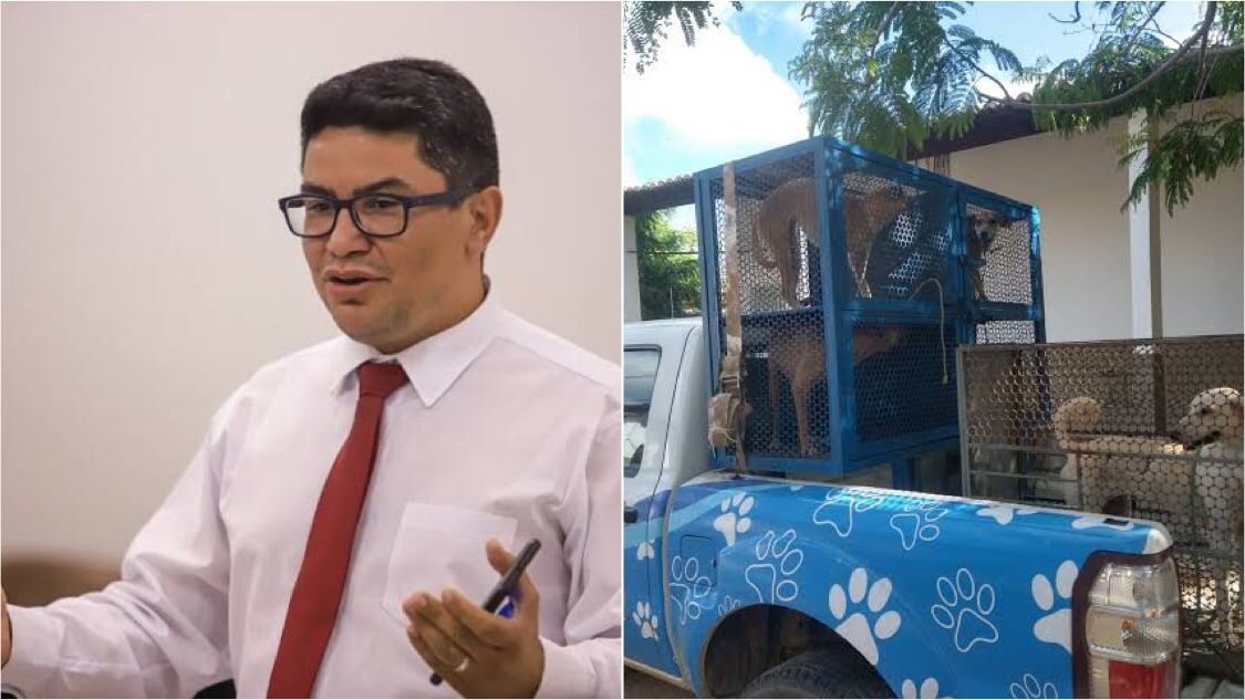 Secretário de Saúde de Patos fala sobre castração química de cães de rua para controlar a superpopulação de animais e afirma: “Vamos estudar e executar essa ação”