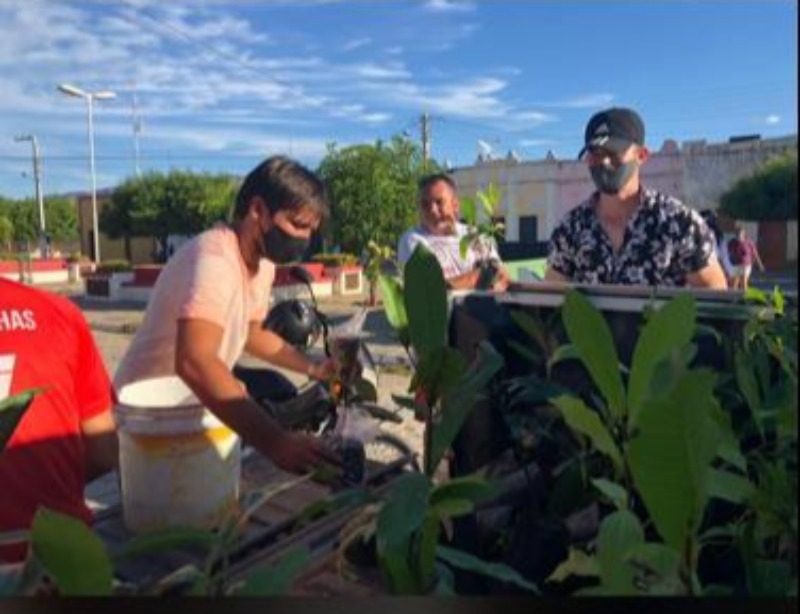 Secretário de Meio Ambiente fala sobre distribuição de mudas e benefícios em se ter uma cidade arborizada