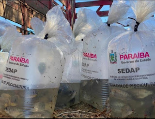 Prefeitura de São Mamede recebe cerca de 50 mil alevinos dentro do programa de piscicultura do governo da Paraíba