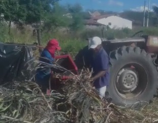 Secretaria de Agricultura de São Mamede auxilia na produção de silagem os pequenos produtores, confira o vídeo: