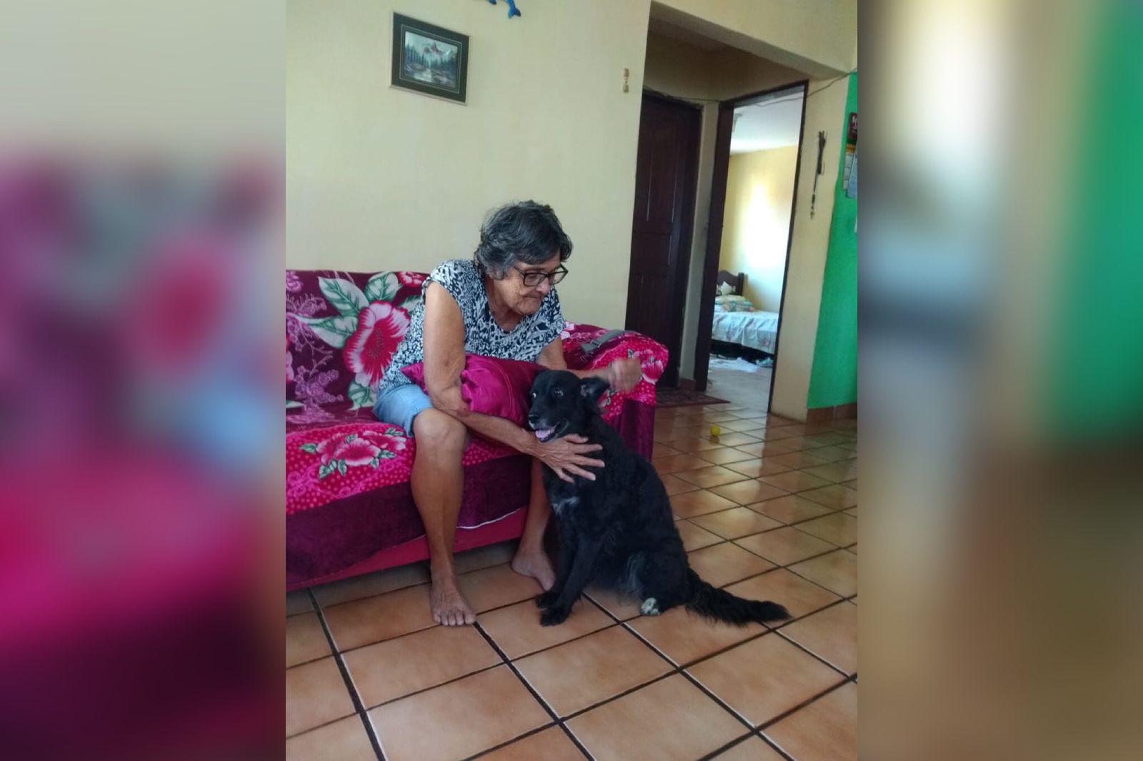 Familiares informam o falecimento da senhora Maria do Socorro de Medeiros Torres, aos 76 anos