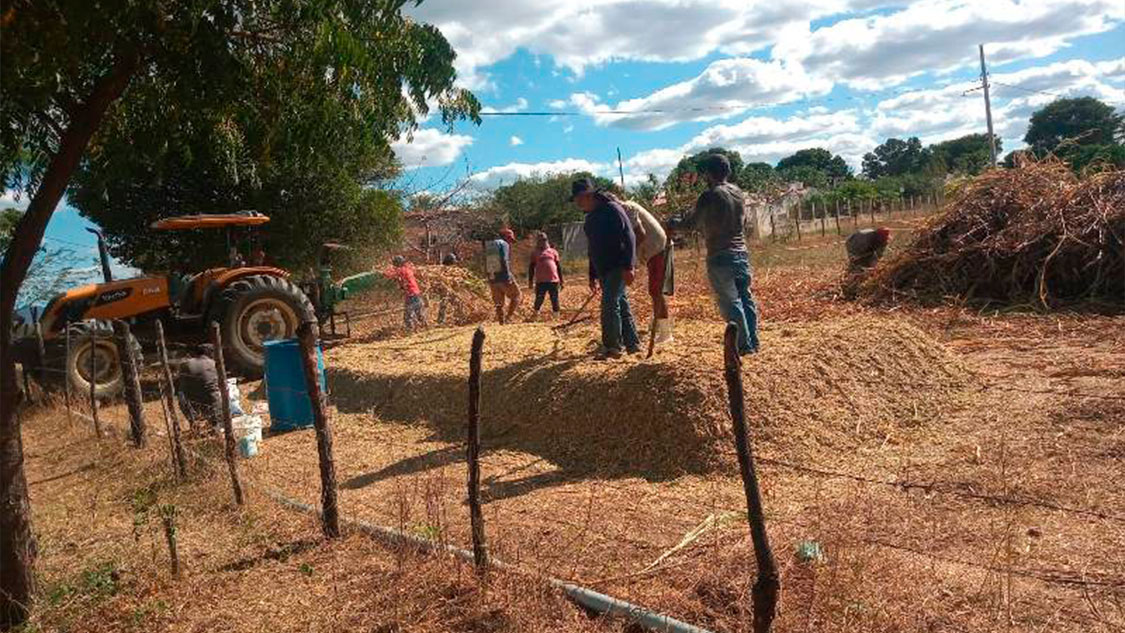 Prefeitura de Patos auxilia produtores rurais na confecção de silagem