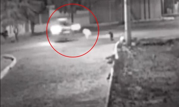 Jovens ficam feridos e cão de rua morre após colisão com motocicleta, em Santa Luzia-PB. VÍDEO