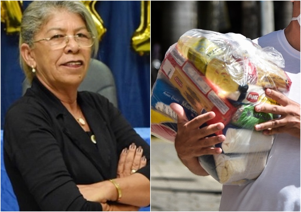 Vereadora Nega Fofa conclama pares da Casa Legislativa a doarem mensalmente cestas básicas para famílias carentes. Ouça
