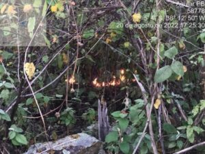 Caseiro evita alastramento de incêndio na zona rural de Aguiar, no Vale do Piancó