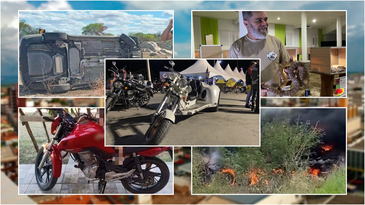Patos Moto Fest, exposição de serpentes, e vários acidentes marcam a semana em Patos e região. VÍDEO