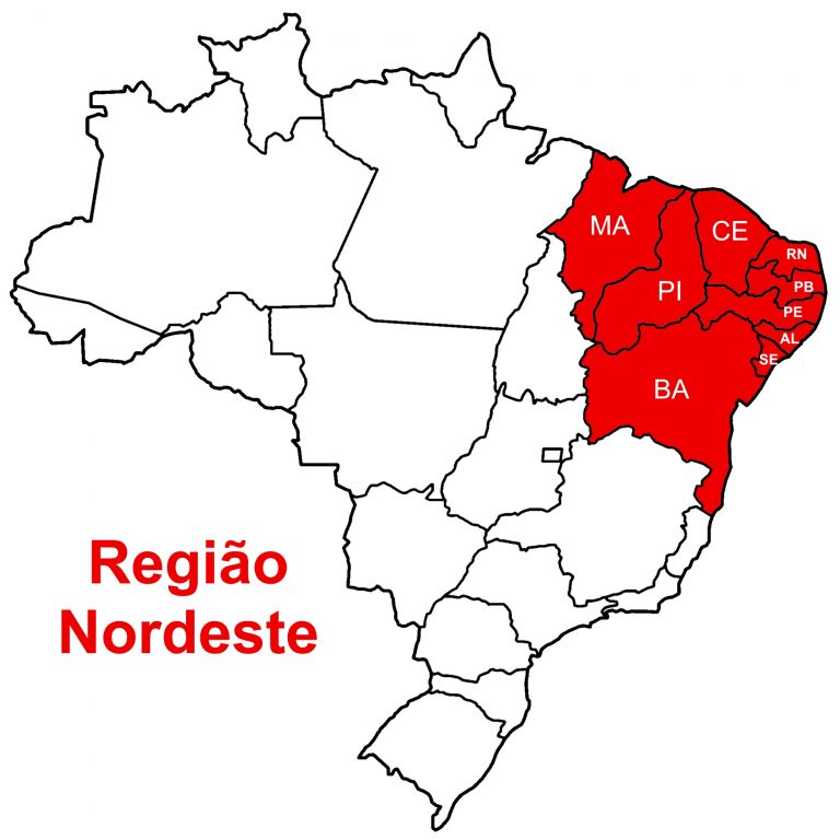 Eleições 2022: Nordeste tem mais de 27% do eleitorado do Brasil e cresceu mais de 3,1 milhões de eleitores nos últimos quatro anos. Paraíba tem o quinto maior colégio eleitoral da região