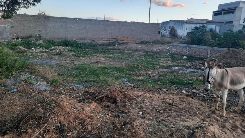 Moradores da Rua Duzinha Monteiro e Paulo Leite, no bairro da Liberdade, cobram conserto de galeria a céu aberto. Coordenadora do setor diz que equipe foi enviada