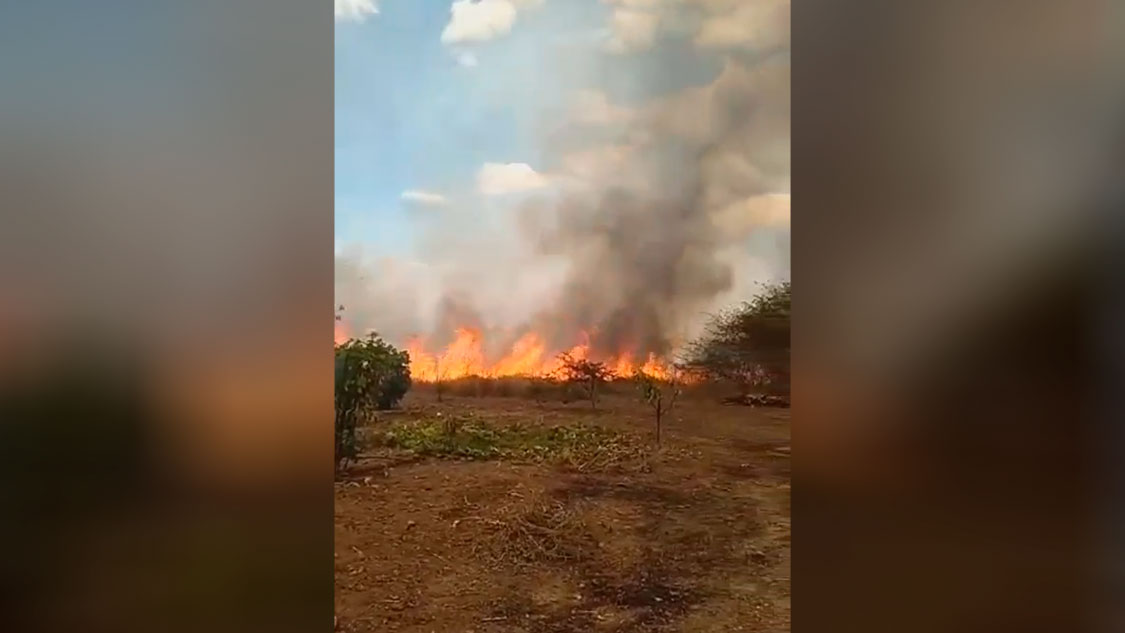 Incêndio em vegetação é registrado na tarde deste domingo (11) e por pouco não atinge casas, em Patos. Veja vídeo