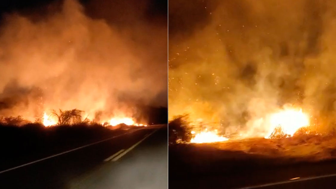 Internauta flagra grande incêndio na vegetação entre Patos e Malta. Veja as imagens