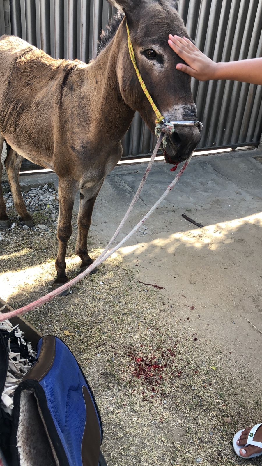 Tentativa de homicídio é registrada na tarde deste domingo (18) no bairro do Mutirão, em Patos