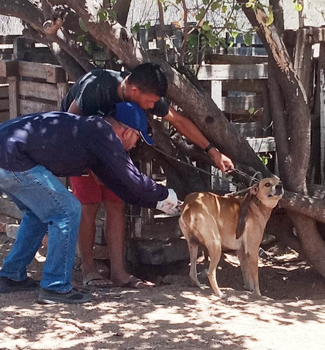 Patos dá início à campanha de vacinação antirrábica pelas comunidades rurais