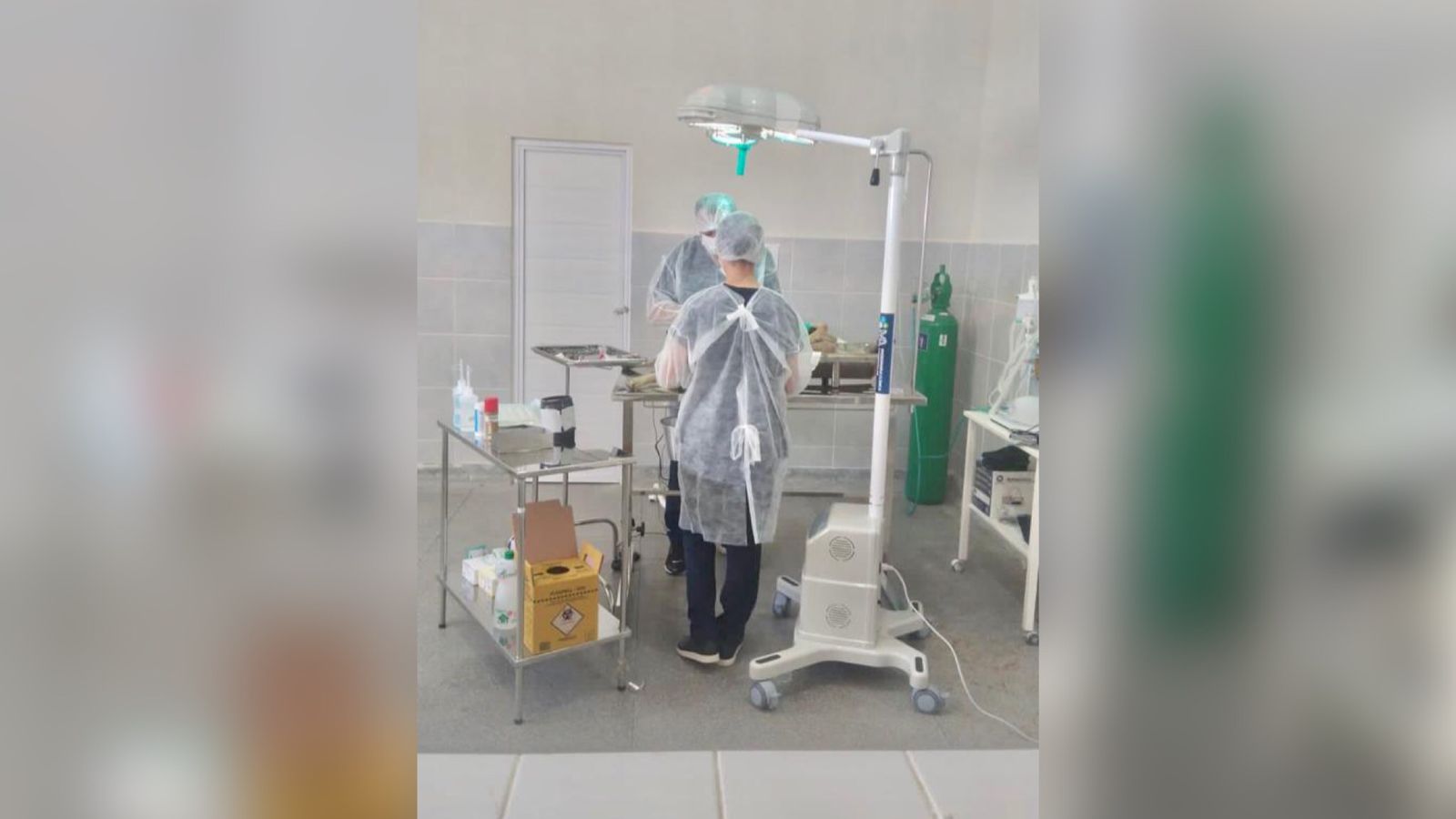 Bloco Cirúrgico do Abrigo Municipal de Animais mantém média de 100 castrações por mês