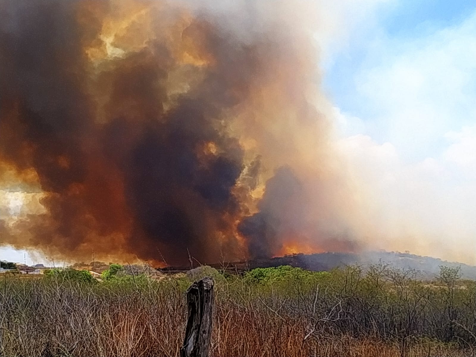 Grande incêndio na vegetação atinge zona rural de Santa Terezinha-PB neste domingo (25)