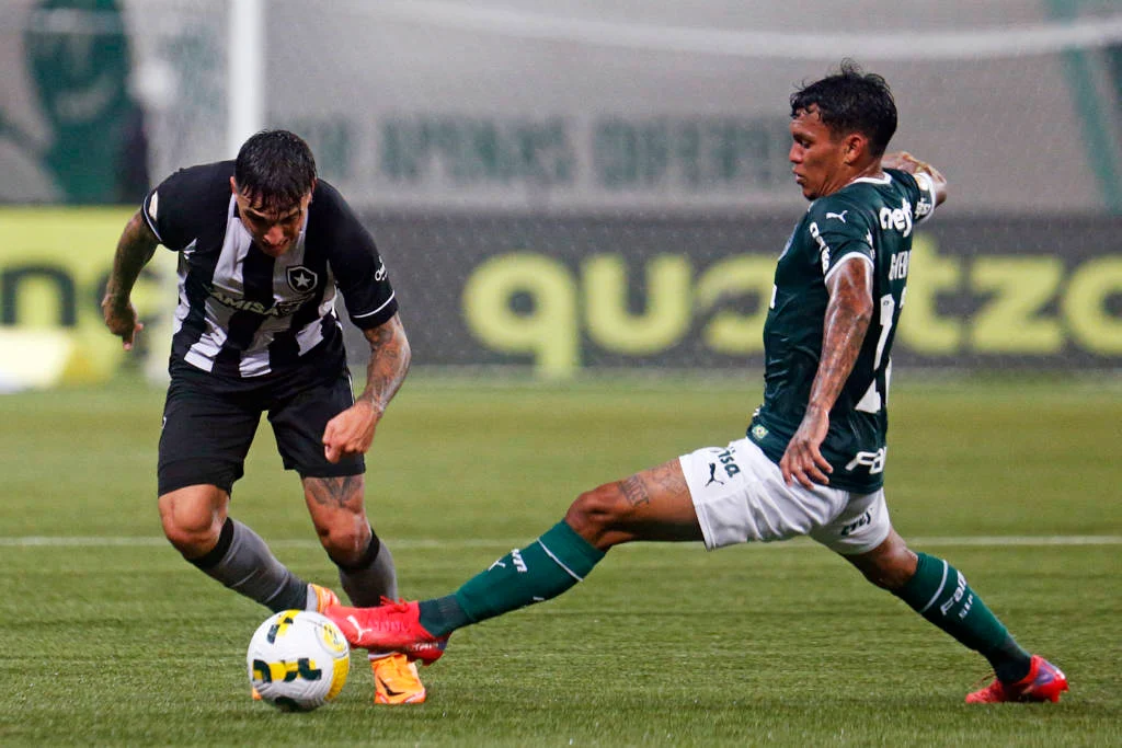 Botafogo e Palmeiras fecham 29ª rodada do brasileirão nesta segunda-feira