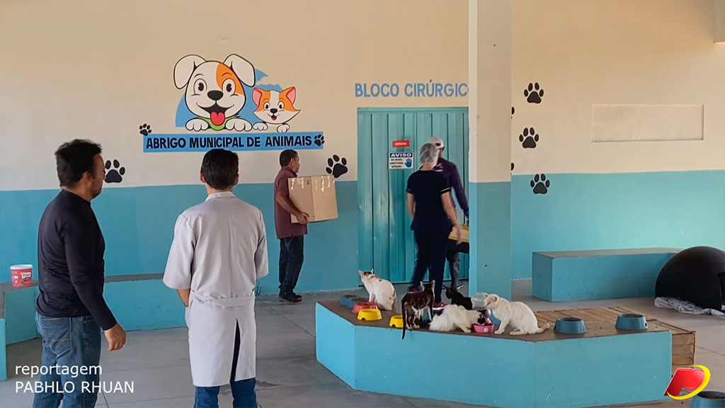 Repórter Pabhlo Rhuan visita Abrigo Municipal de Animais e conversa com médico veterinário sobre resultados das castrações. Confira