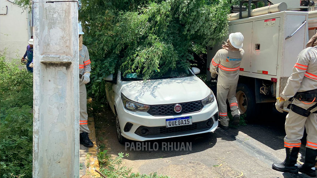 Árvore cai e atinge veículo no centro de Patos na manhã desta segunda-feira (17). Veja Reportagem