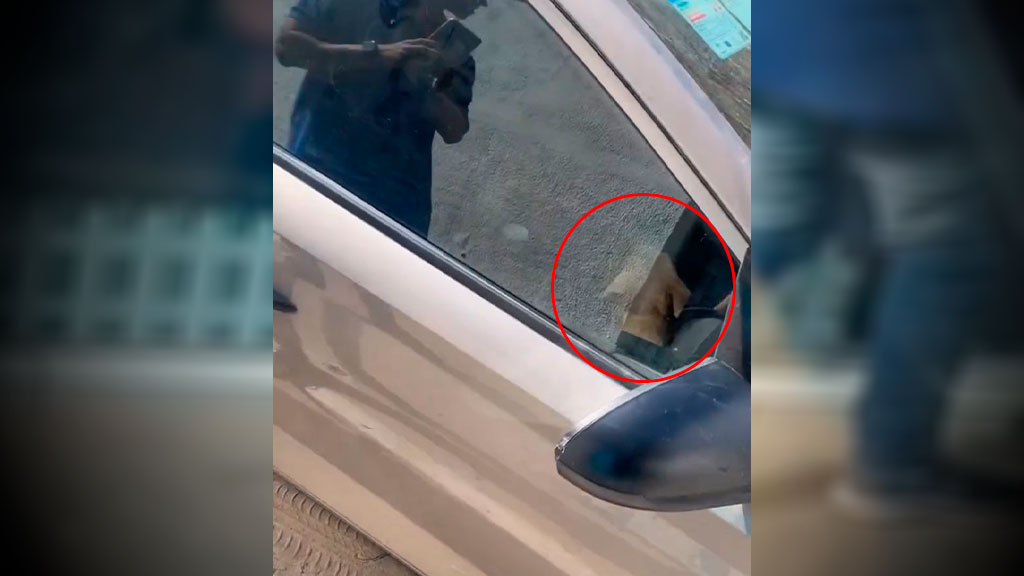 Cão é deixado trancado pela dona dentro de carro sob forte sol da cidade Patos e revolta populares