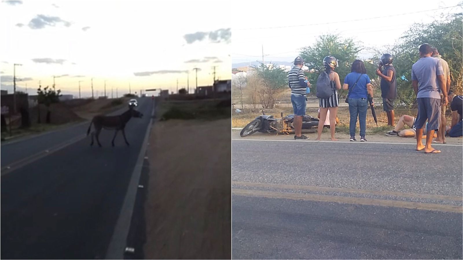 Mais uma colisão entre motocicleta e animal é registrada na BR-361, próximo ao Conjunto Itatiunga, em Patos. VÍDEO