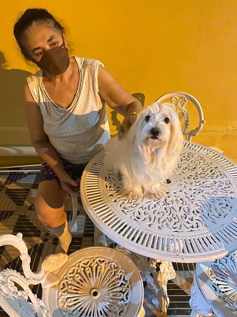 Internauta procura cachorro de estimação que fugiu de casa na manhã deste sábado (29)