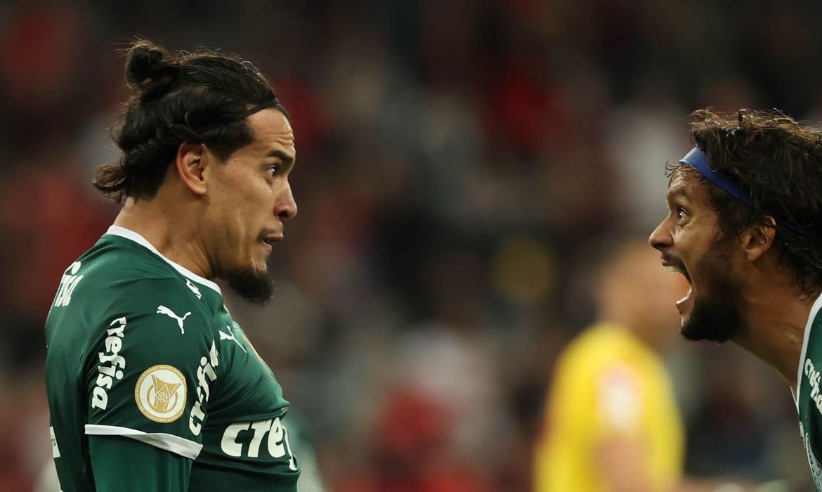 Palmeiras é campeão da Série A do Campeonato Brasileiro