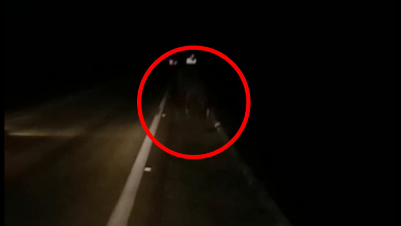 Cavalos são flagrados soltos na BR-361, entre Patos e Santa Terezinha, na noite desta quinta (03). Veja Vídeo