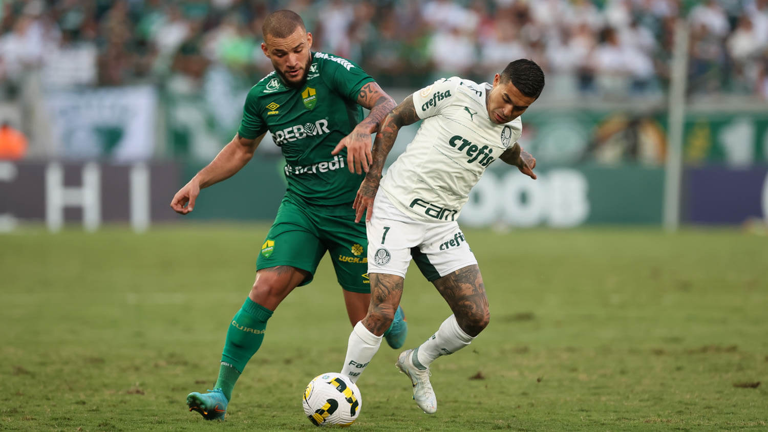 BRASILEIRÃO: Coritiba vence o Flamengo e se livra da degola; Palmeiras fica no empate